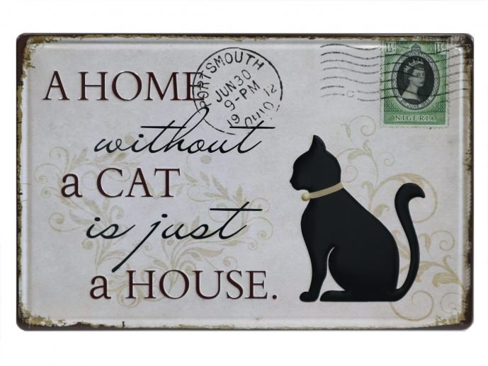 A Home without a CAT