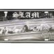 geniales Blechschild, Wandschild, 15 x 30 cm
