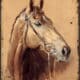sehr schönes Blechschild Wandschild Pferdemotiv H. ca. 33 cm