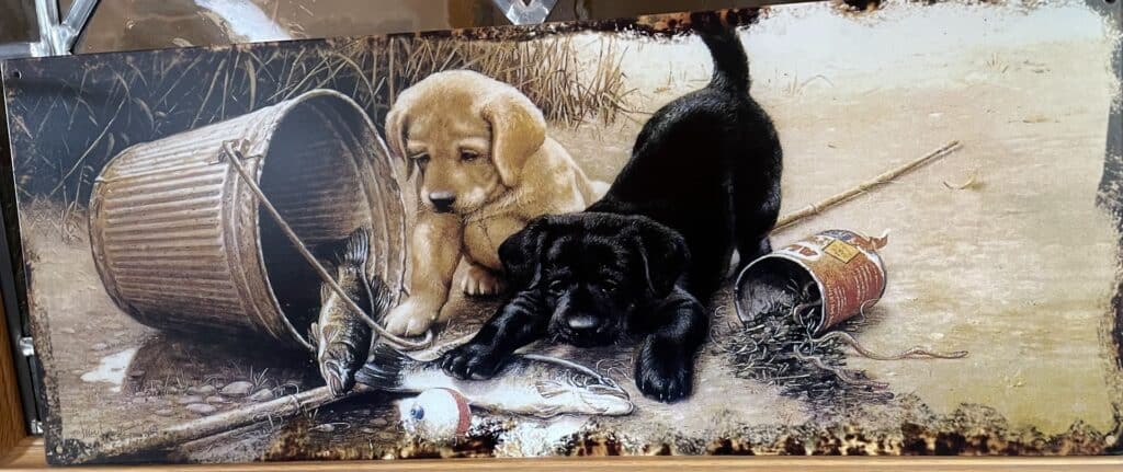 Blechschild Metallschild Hund Welpen Strand 50x20cm