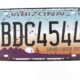 Blechschild Arizona BDC4544 Kennzeichen Vintage 15 x 30 cm