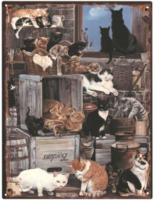 Blechschild Katzen