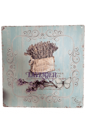 Blechschild Lavendel Lavender Shabby Vintage 30 x 30 cm